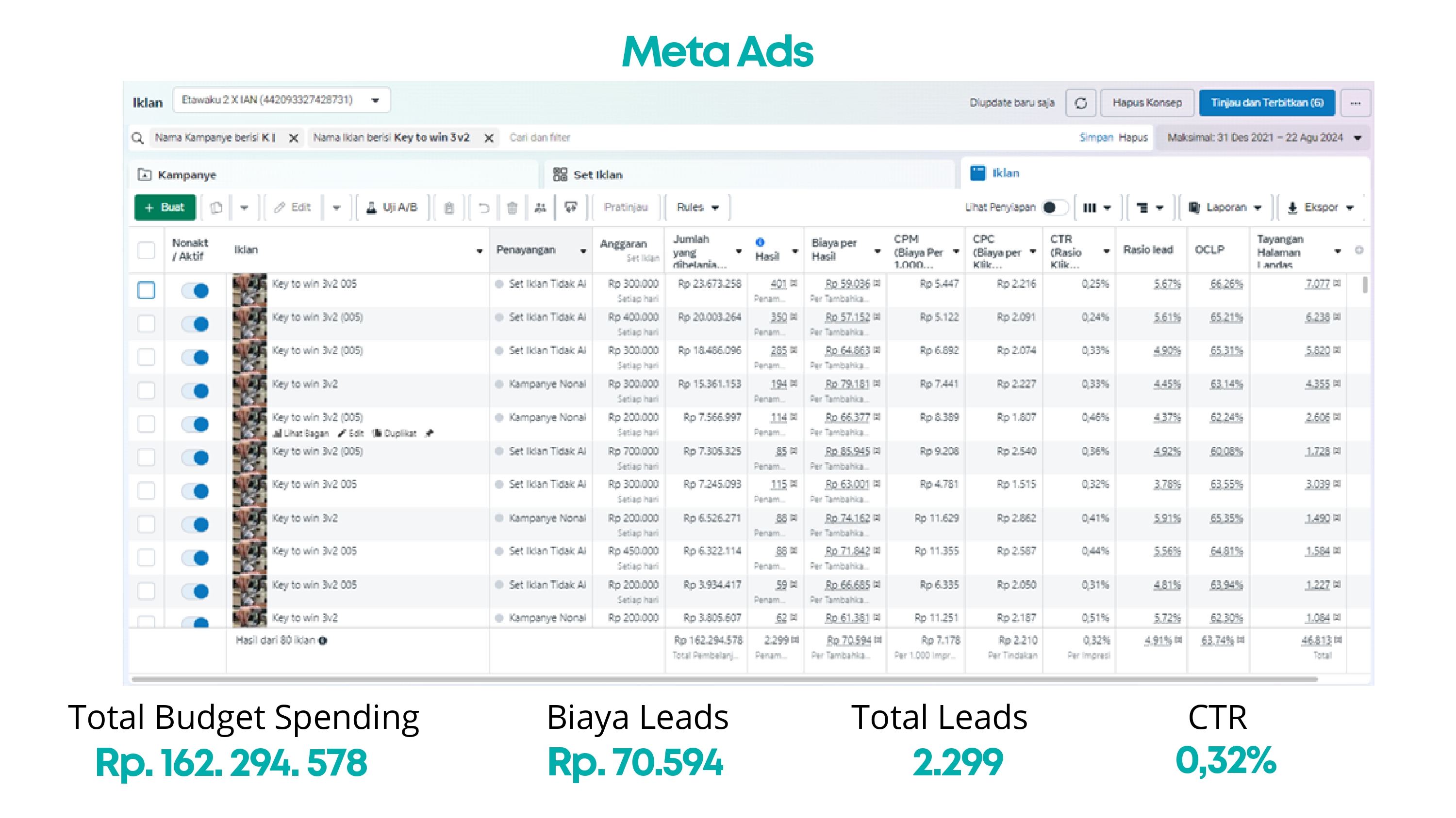 Gambar Portofolio Meta Ads Herbal